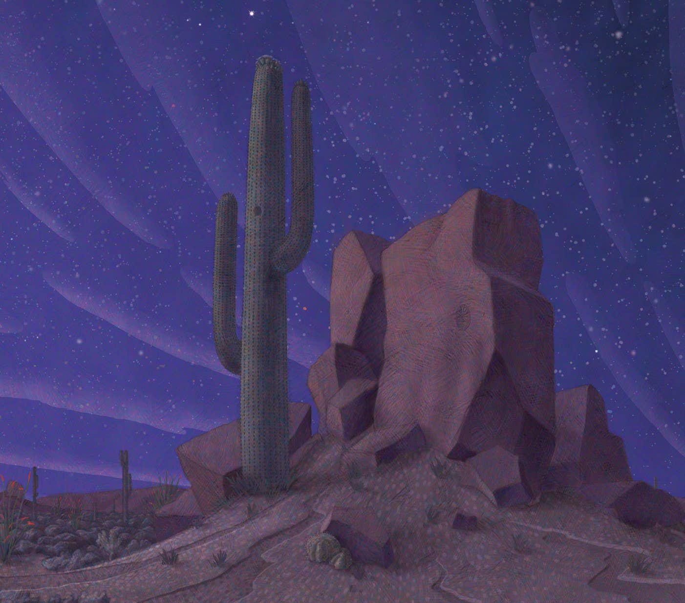 Saguaro's Gifts Picture Book