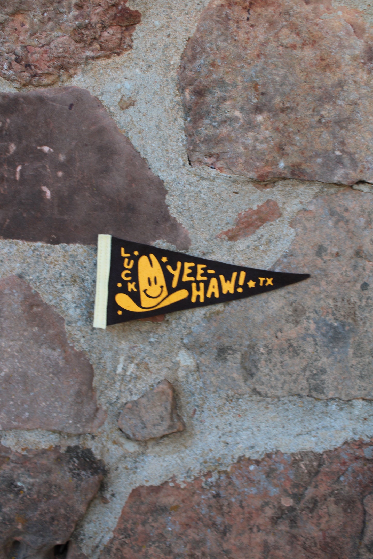 Luck Yee-Haw! Mini Pennant