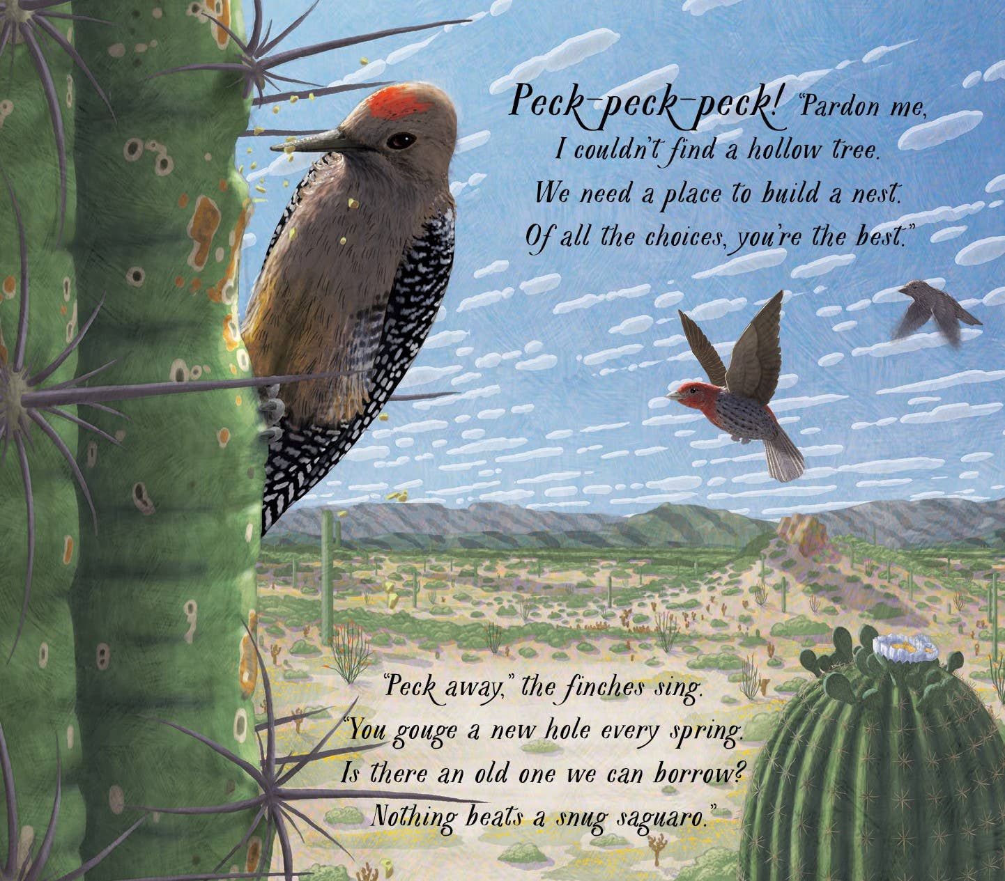 Saguaro's Gifts Picture Book