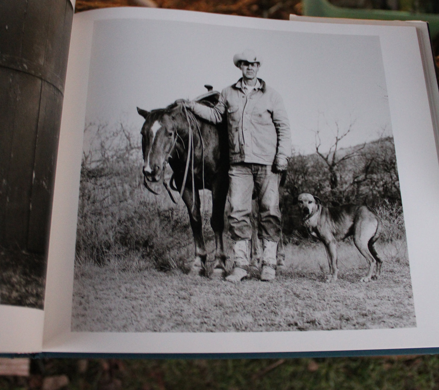 Watt Matthews of Lambshead Photographs and text by Laura Wilson