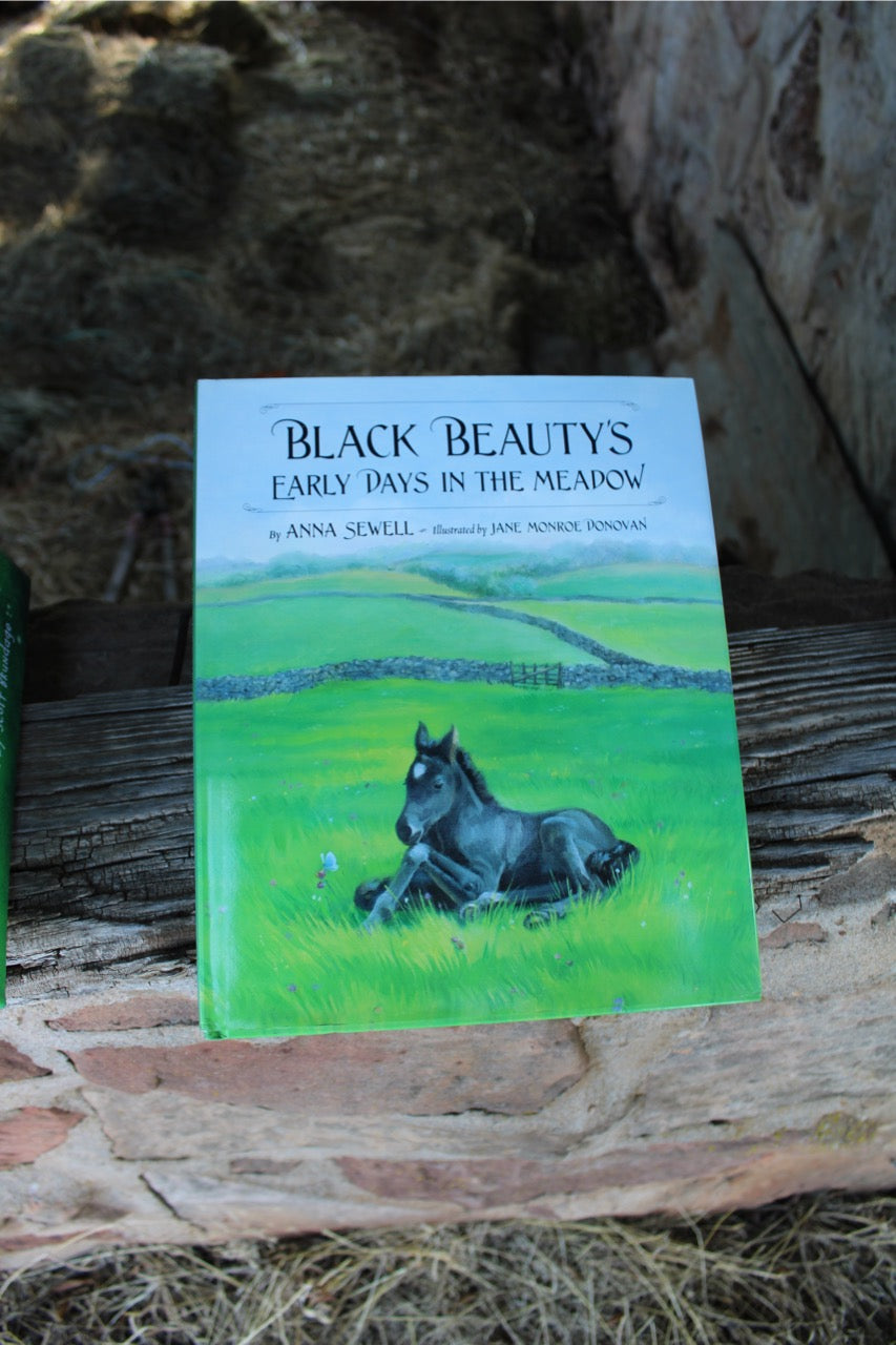 Black Beauty's Early Days in the Meadow picture book